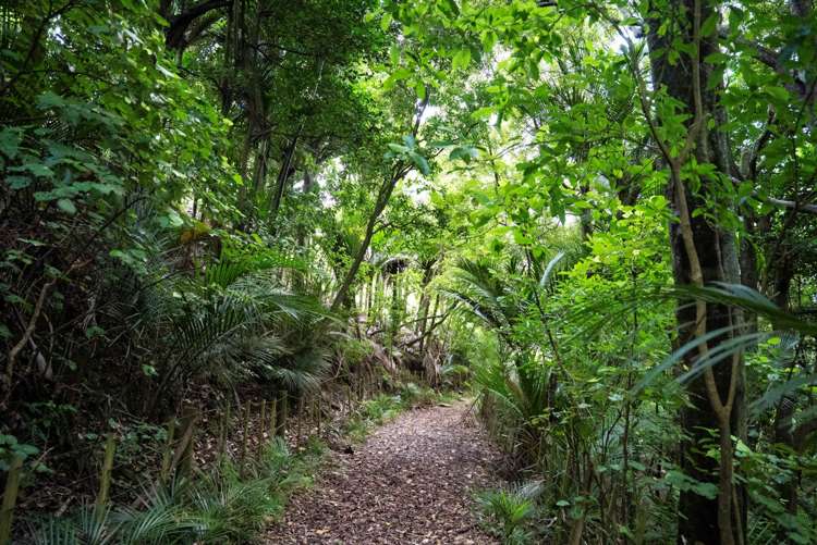 44 J Irwin Road Waiuku_18