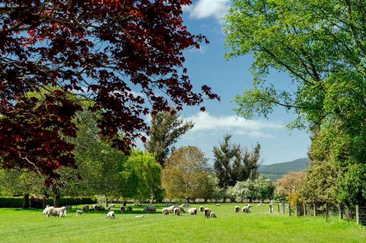 65 School Road North North Taieri_40