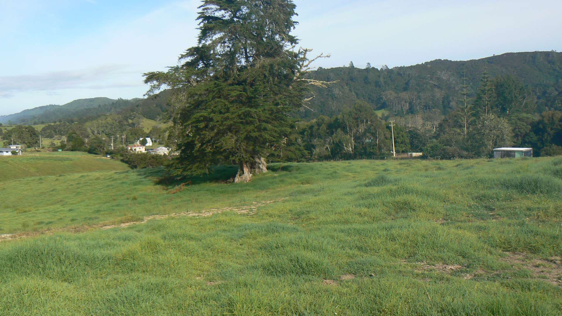 Pakaru Road Kawakawa Far North Houses for Sale One Roof