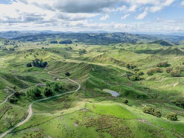 Rimunui Waerenga-O-Kuri_1