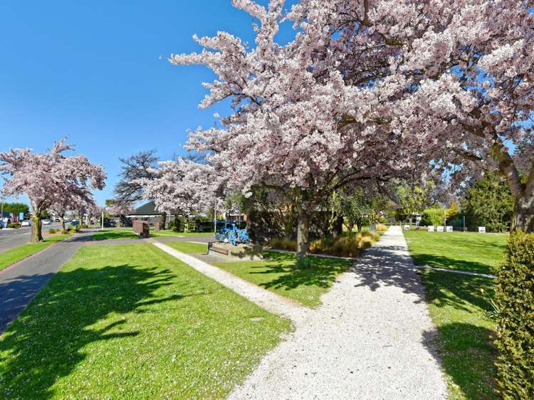 Telegraph Road Darfield_9