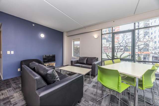 201/8 Mount Street Auckland_3