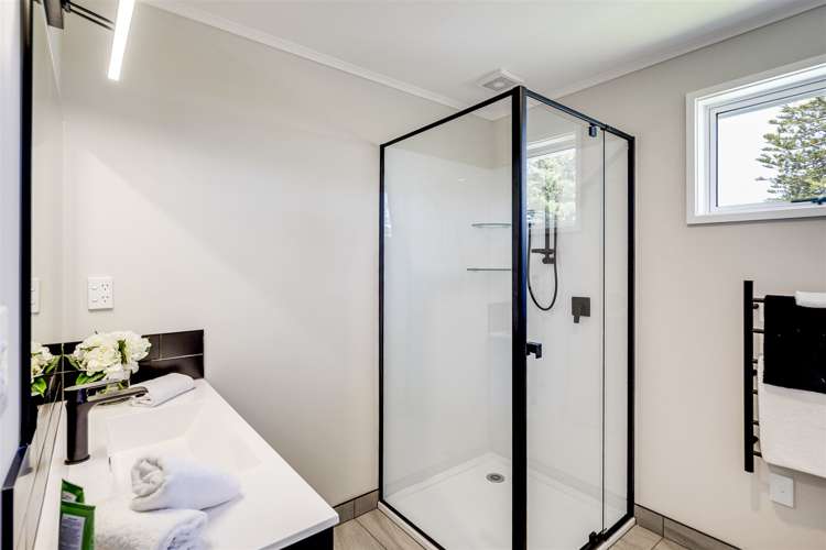 138 Te Awa Avenue Awatoto_8