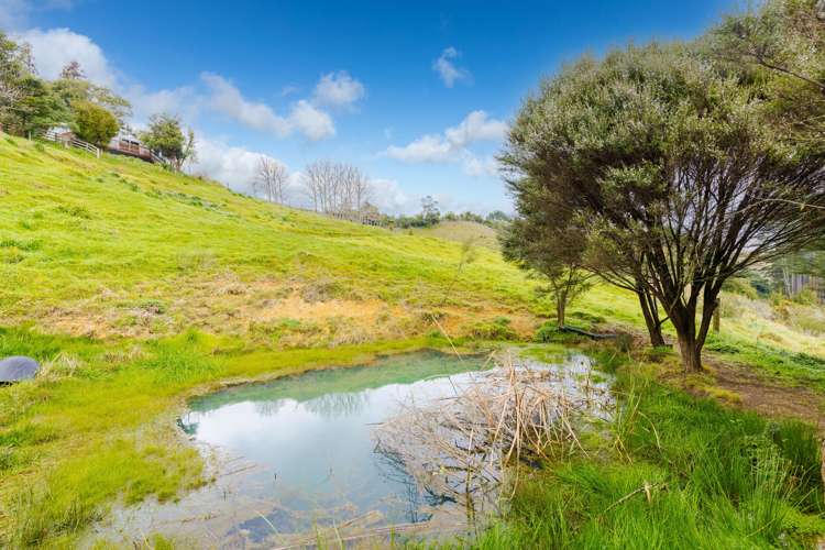 66 Hangapipi Road Huntly_29