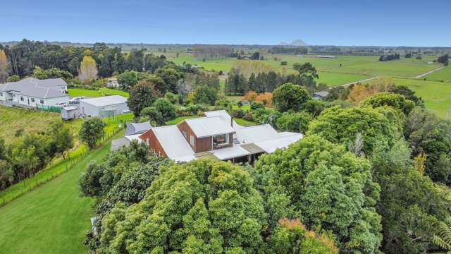 166 Braemar Road Manawahe_1