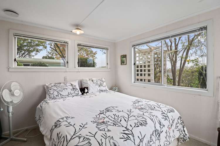 15 Wilson Street Te Aroha_5