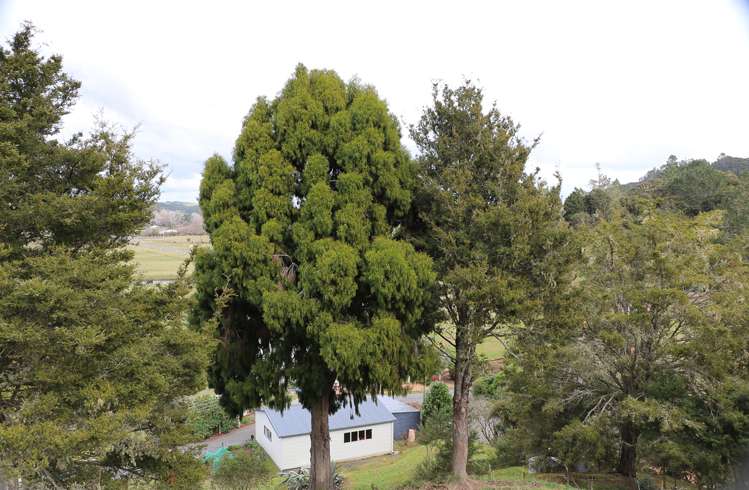 412a Paihia Road Kawakawa_12