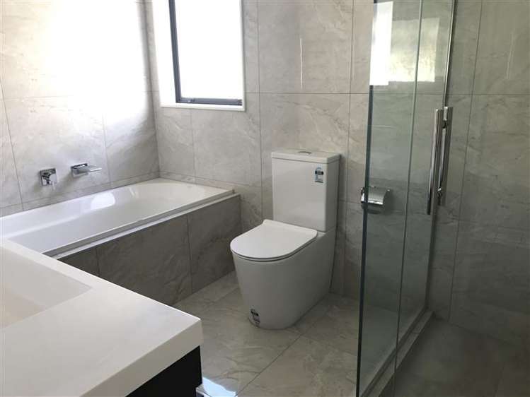 241 Murphys Road Flat Bush_7