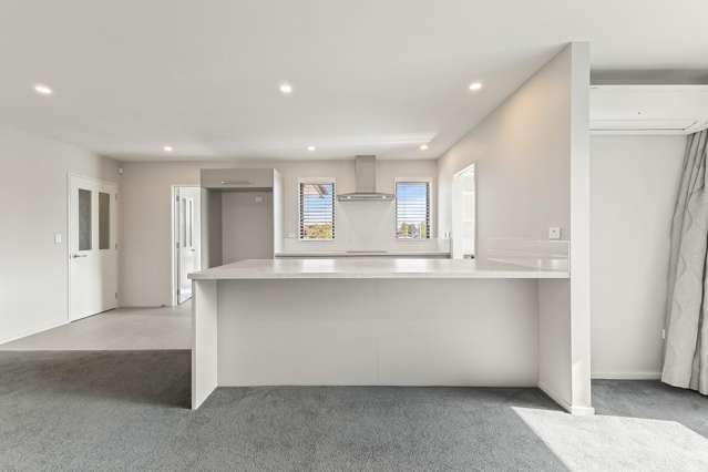 130 Shillingford Boulevard Rolleston_2