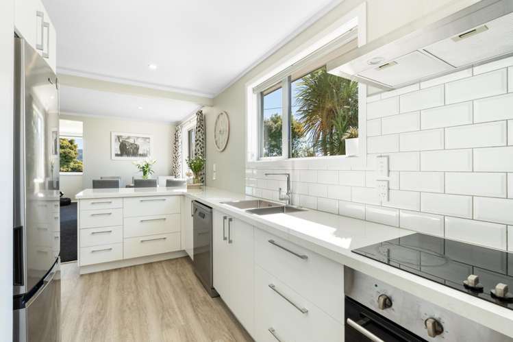 217 Mulford Street Concord_10