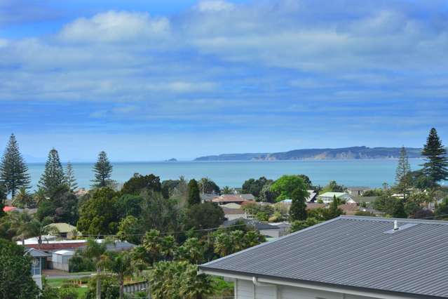 35 Landmark Terrace Orewa_4