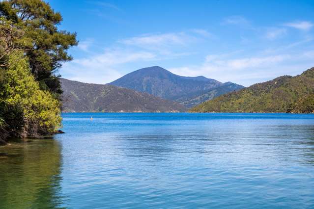 Lot 9 Blackwood Bay Queen Charlotte Sound_3