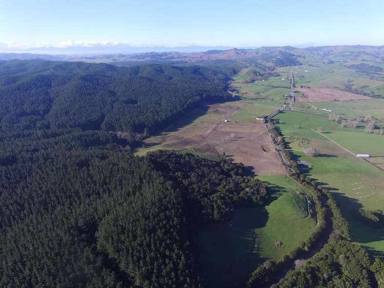 16 Kopuku Road Waerenga_15