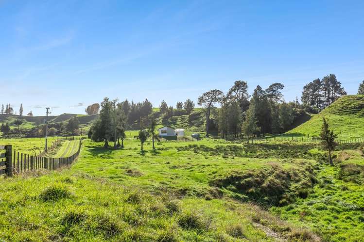 168c Henry Watson Road Matamata_16