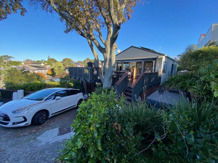 15b Mcilroy Avenue Hillsborough_16