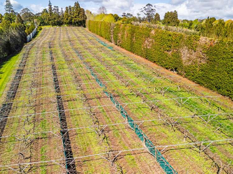 43e Blue Gum Lane Kerikeri_14