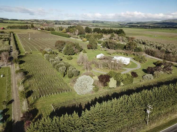 413a Lake Ferry Road Dyerville_6