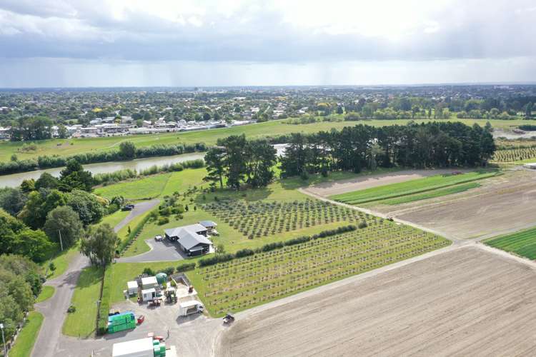 72 Pinfold Road Aokautere_17