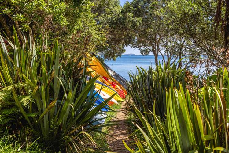 23 Te Aroha Ave Oneroa_5