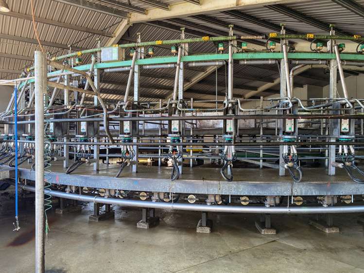 1128 Wyndham Road Wyndham_15