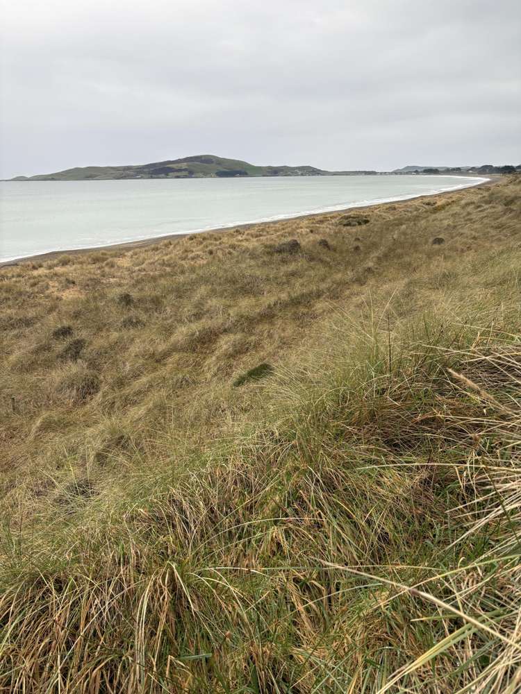 772 Orepuki-Riverton Highway_4