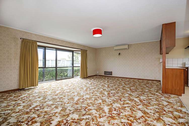 103 Chalmers Avenue Hampstead_5