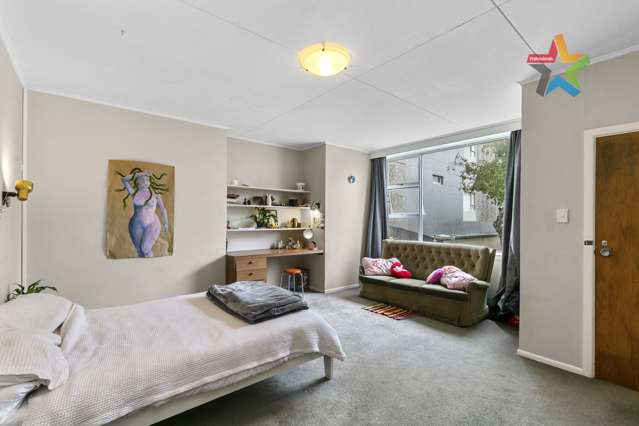 103a Coromandel Street Newtown_3