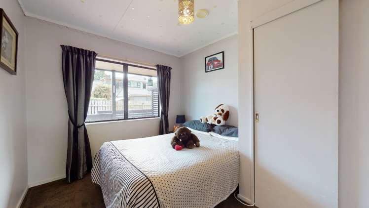 21a Chester Street Levin_9