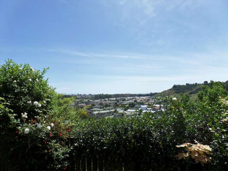 337b Waihi Road Judea_8