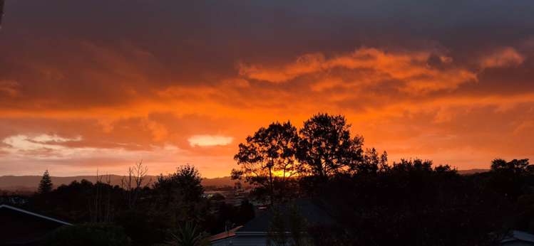 73 Awaroa Road Sunnyvale_30