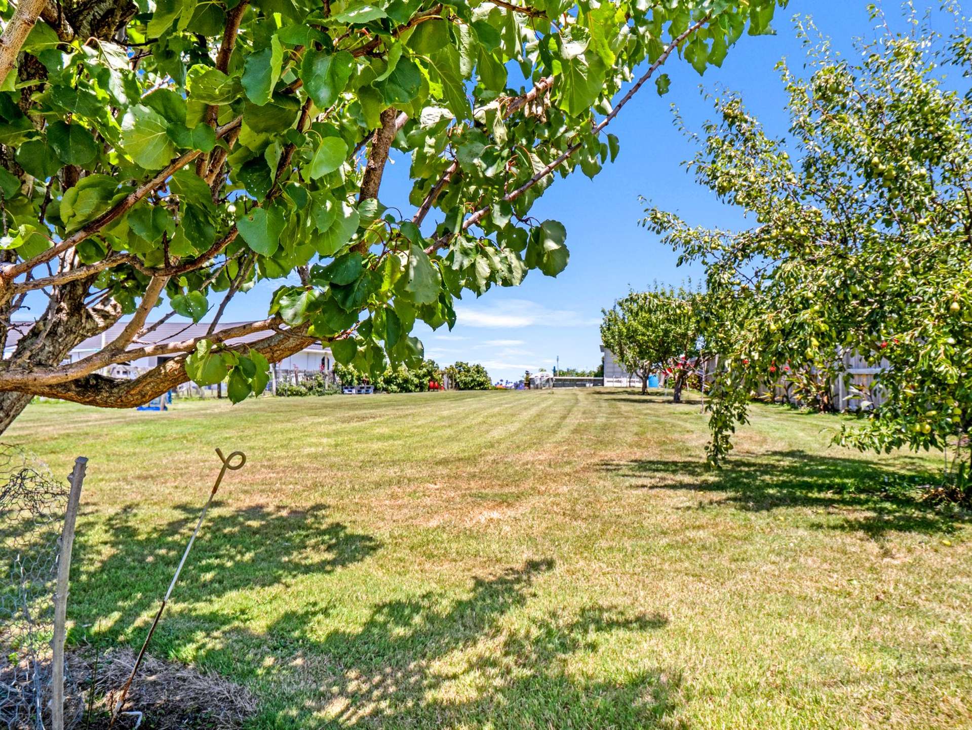 36 Shakespeare Road Bastia Hill_0