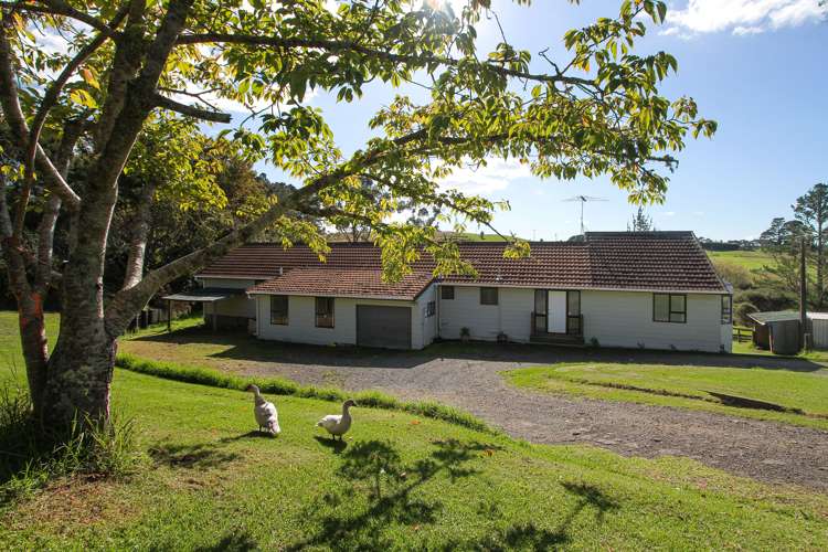 372 Horseshoe Bush Road Dairy Flat_16