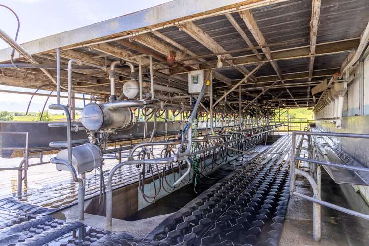 6 Tahuroa Road Tauwhare_17