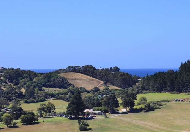 103 Musson Drive Waiheke Island_3