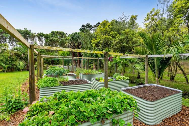 6388a South Road Pungarehu_13