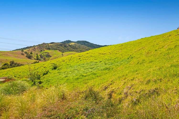 3390C Kaipara Coast Highway Glorit_23
