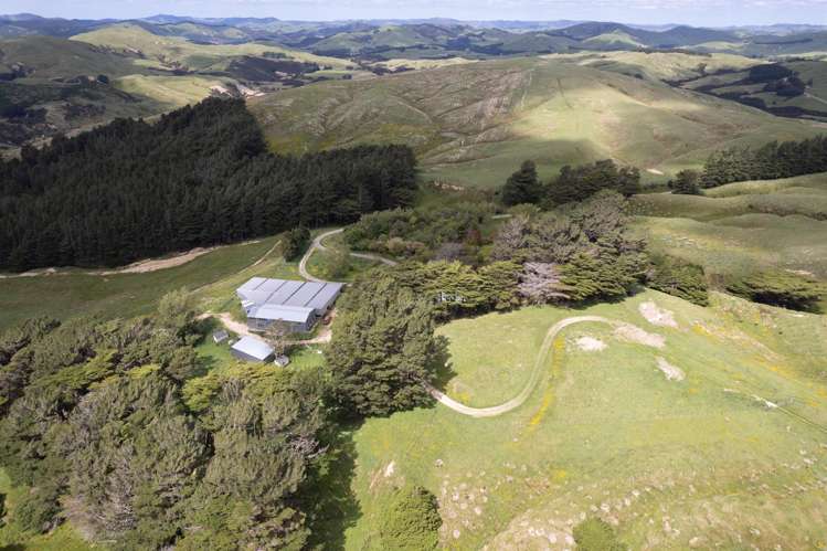 559 Korora Road Pongaroa_29