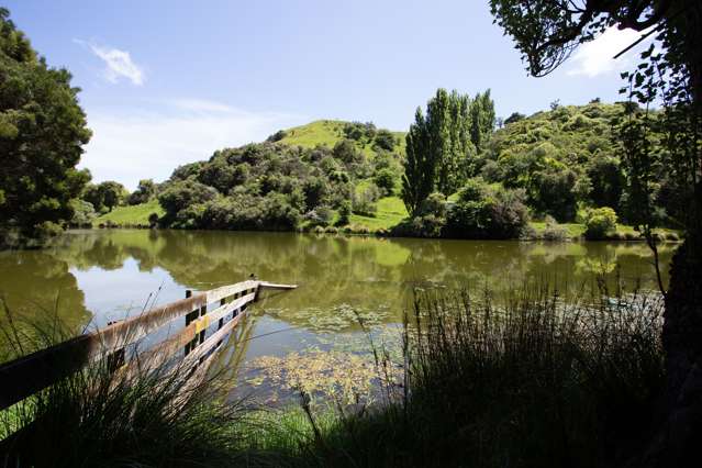 261a Roberts Avenue Aramoho_1