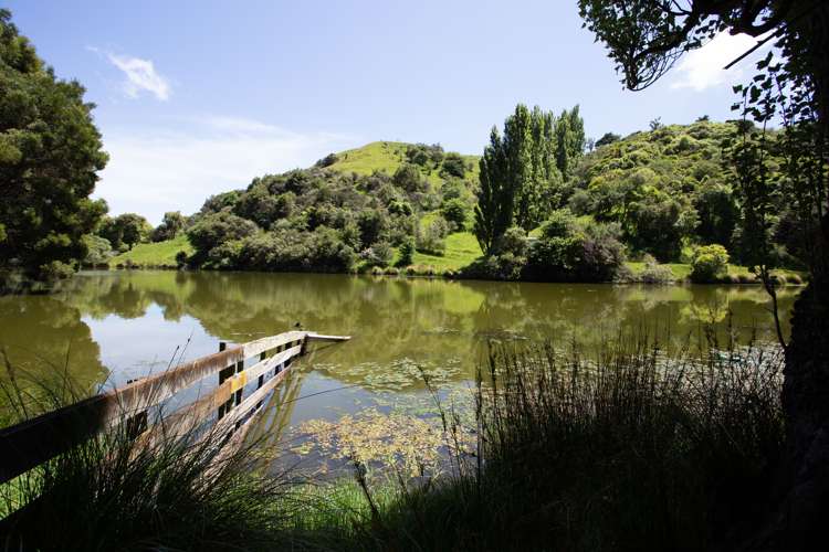 261a Roberts Avenue Aramoho_1