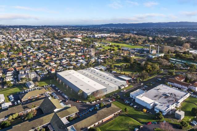 56 Carrington Road Point Chevalier_3