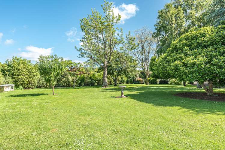 431 Kaikokopu Road Brunswick_22