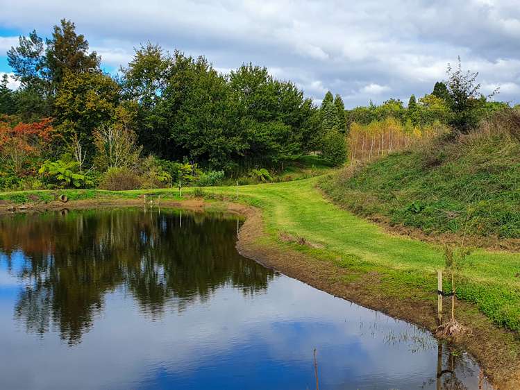 94a Kauri Point Road Hauraki Surrounds_8