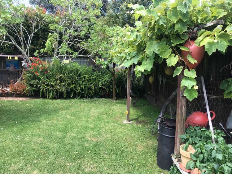 7 Kiwi Road Stanley Point_2