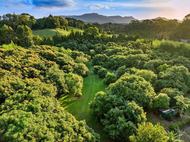 82 Upland Road Aongatete_31