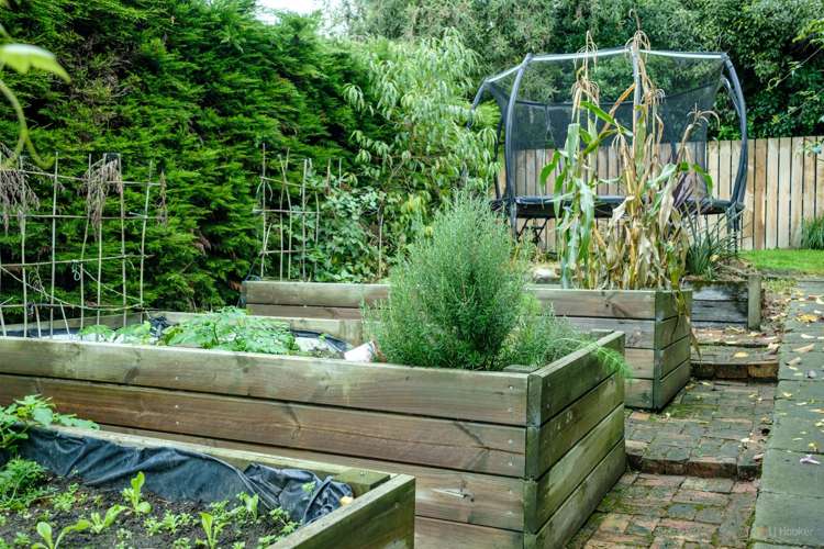 18 Macdonald Street Geraldine_15