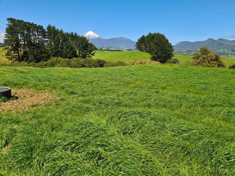 629 South Road Omata_3