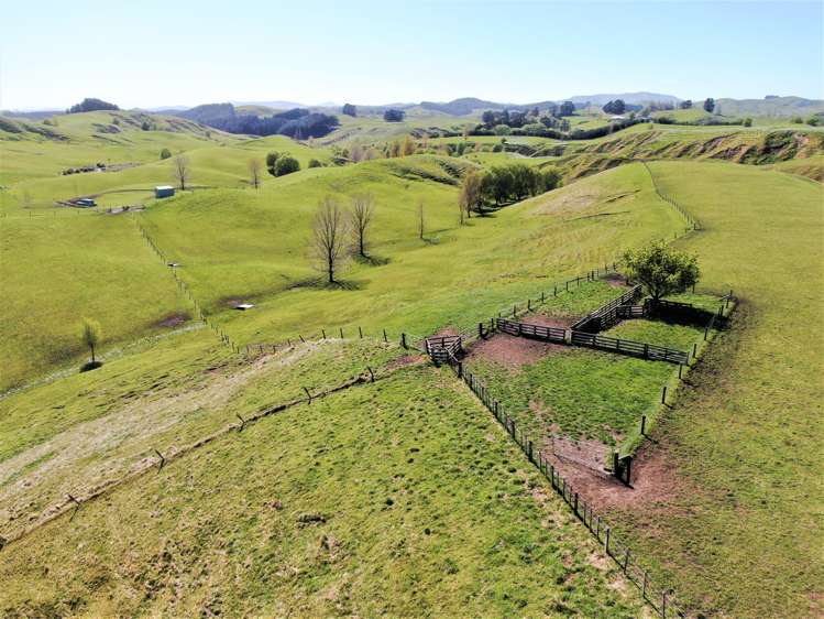 338 Te Awa Road Hawkes Bay_10