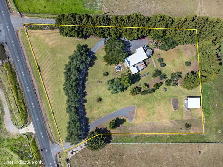 133 Apotu Road Kauri_14