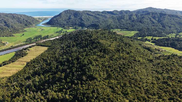 40Ha Block State Highway 67 Mokihinui_11