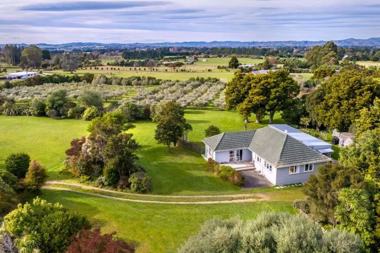 17 Tararua Drive Upper Plain_0